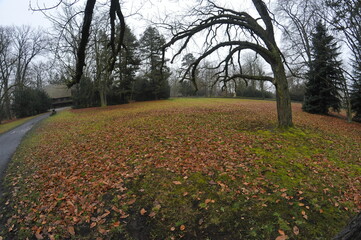 Szczytnicki Park in Wroclaw, Poland