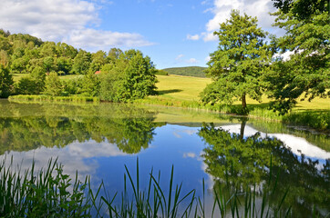 Anglerteich im Sommer