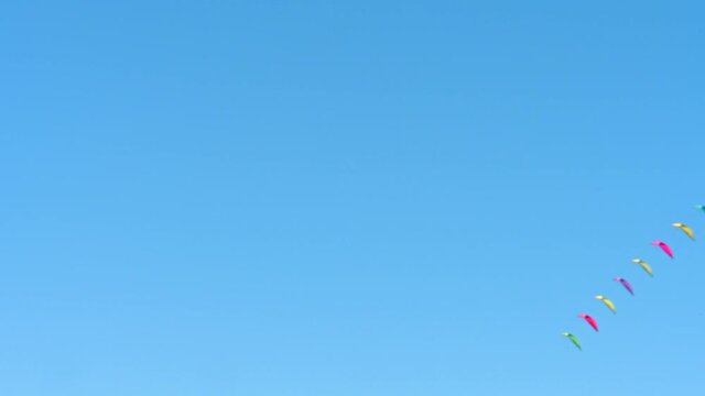 Lenkdrachen fliegen bei blauem Himmel an der Elbe bei Hamburg