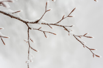 neve sul Monte Amiata