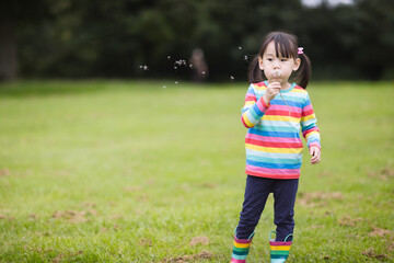 young girl blowing dandelion in the  summer garden morning