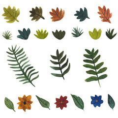 flowers and plants elements on the white background