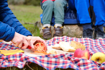 Woman slicing a tomato, picnic in the field, closed plane