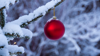 christmas tree outside cowered by snow