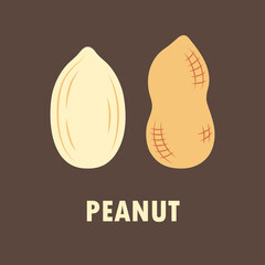 vector illustration of peanut on brown background