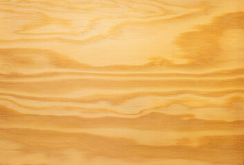 Rustic wood background. Wooden texture with copy space