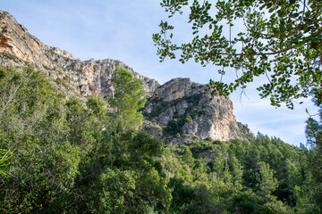 Fototapeta na wymiar Montaña