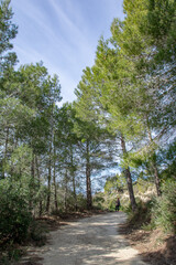 Obraz premium Montaña