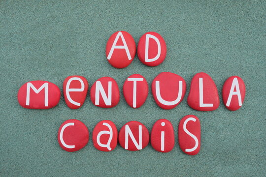 Ad mentula canis, latin phrase meaning bad, composed with red colored stone letters