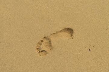 Foot print in the golden color sand. 