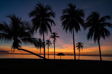 Sunset over the beach and palm trees El Colony (ex Hilton) Isla de Juventud Cuba