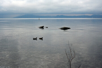 Lago con anatre e panorama nuvoloso