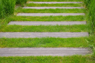 Stair path near office center, made of wood and green grass. Eco friendly concept. 