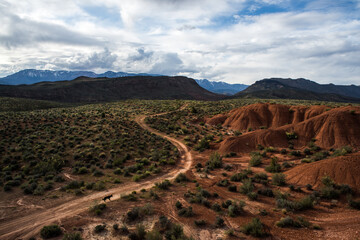 Dog runs on a road through a desert valley, Southern Utah