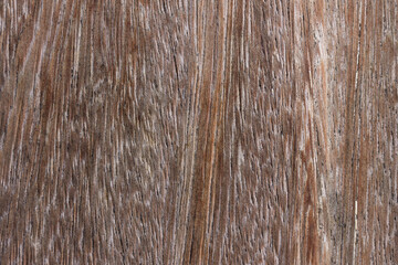 texture background