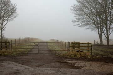 Farm gate on a foggy day in Wiltshire.
