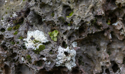 Rock texture, close up, natural.