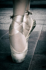 Ballet slippers  © Geovanna