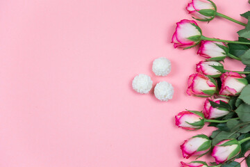 Roses on pink background February 14 Valentine's Day