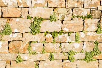 wall of stones piled up with sandstone and herbs.