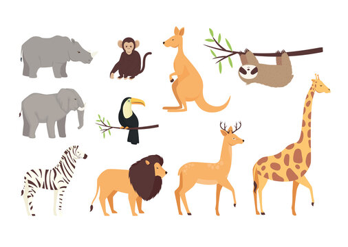 bundle of ten animals wild set icons vector illustration design