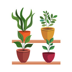 Obraz premium bundle of four house plants in ceramic pots over shelf vector illustration design