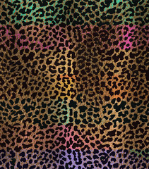 Animal print, leopard background texture