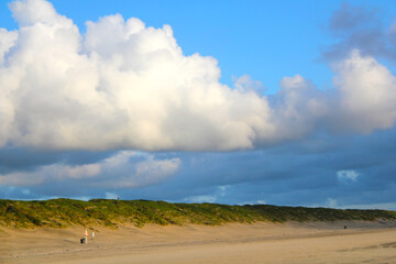 Fototapeta na wymiar Dunes Under Blue Sky At The Danish Westcoast