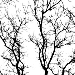 Fototapeta premium Background with silhouettes of bare branches of trees. Vector illustration