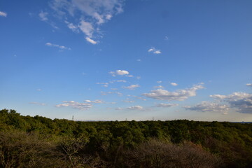 Obraz premium 瑞穂町から見た都心