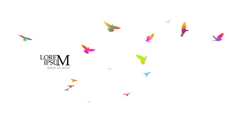 Fototapeta na wymiar Bird watercolor. A flock of colorful birds. Mixed media. Vector illustration