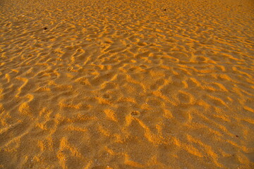 Golden sand poovar beach
