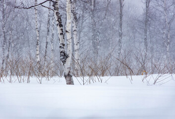 吹雪