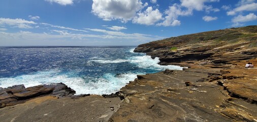  nature, flower, green, cute, summer, flowers, botanical, cool, floral, watercolor, blue, plant, plants, travel, water, adventure, pattern, sticker, cactus, earth,