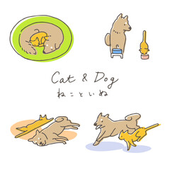 ペット・猫と犬　ポーズ