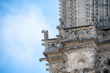 Detail photographs of notre dame cathedral, gargoyles and statues
