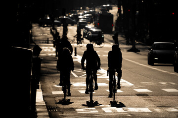 Three bicycles on the Paris bike path, against the light