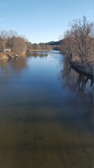 reflection of trees in the water