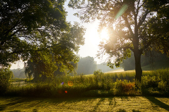 Sunrise over a meadow at the beginning of summer