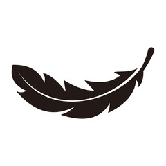 Feather vector icon on white background