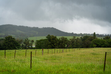 clouds coming in over misty foggy green mountains