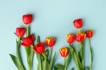 Yellow red  tulip flowers bouquet on blue background, copy space. Banner for seasonal holiday, springtime concept, International Woman day 8 march, Happy Easter greeting flyer, invitation, traditional