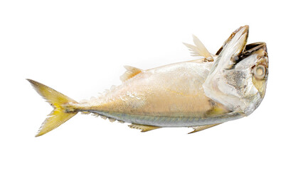 Steamed mackerel fish an  isolated on white background