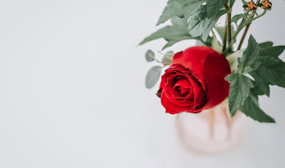 Red rose flower on white background. Flat lay, top view, copy space..for writing a greeting in Valentine day, New Year Festival, Birth day and Chrismax.