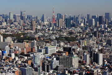 Fototapeta premium 東京のランドマークタワーと高層ビル群の風景