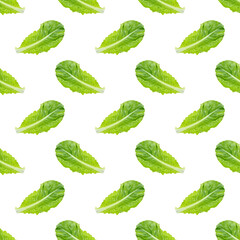 Fresh raw green romaine lettuce leaves seamless pattern on white background.