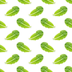 Fresh raw green romaine lettuce leaves seamless pattern on white background.