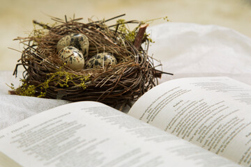 Bird Nest Beside an Open Bible