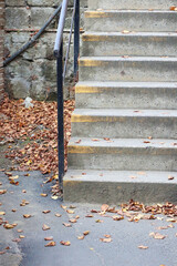 autumn leaves on the stairs