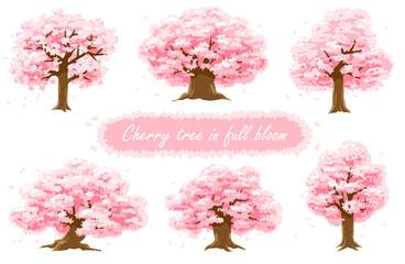 満開の桜の木のバージョン